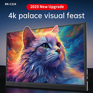 RK-C324高清便携式带支架显示器